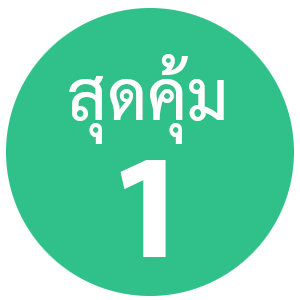 เว็บโฮสติ้ง เว็บโฮสติ้ง สำหรับองค์กร คุ้มสุดๆ ใช้งานโดเมนจำนวนมาก และอีเมล์จำนวนมาก  - แนะนำ webhostthai.com web hosting thailand