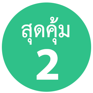 เว็บโฮสติ้ง สำหรับองค์กร คุ้มสุดๆ ใช้งานโดเมนจำนวนมาก และอีเมล์จำนวนมาก - แนะนำ webhostthai.com web hosting thailand