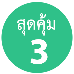 เว็บโฮสติ้ง เว็บโฮสติ้ง สำหรับองค์กร คุ้มสุดๆ ใช้งานโดเมนจำนวนมาก และอีเมล์จำนวนมาก - แนะนำ webhostthai.com web hosting thailand
